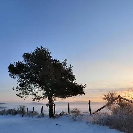 Gemuetliche In Medebach