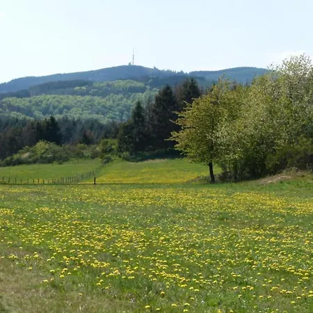 Gemuetliche In Medebach