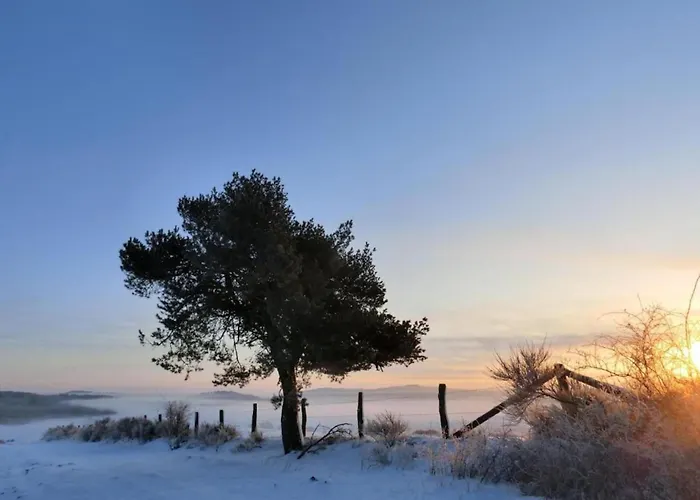 Gemuetliche In Medebach